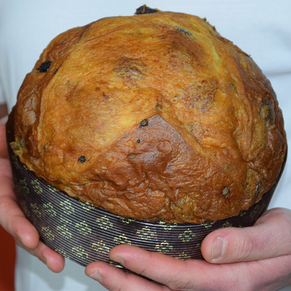 Panettone Salato "Capocollo"
